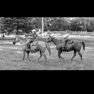 Meet your Posher, Cayla